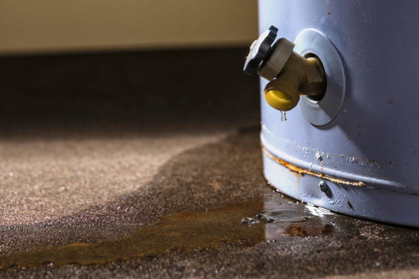 Best Basement water damage restoration  in Oxford, IN