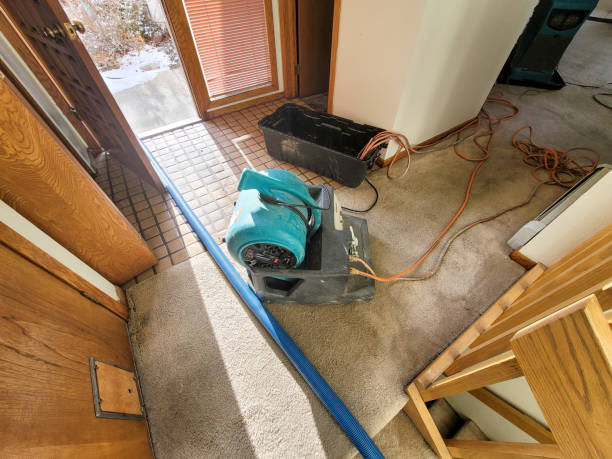 Best Commercial water damage restoration  in Oxford, IN