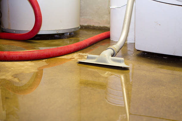 Best Water damage restoration near me  in Oxford, IN