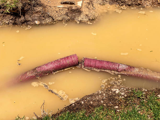 Best Local water damage restoration  in Oxford, IN