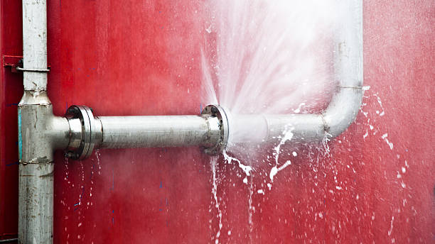 Best Carpet water damage restoration  in Oxford, IN